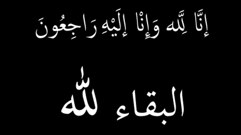 هير نيوز