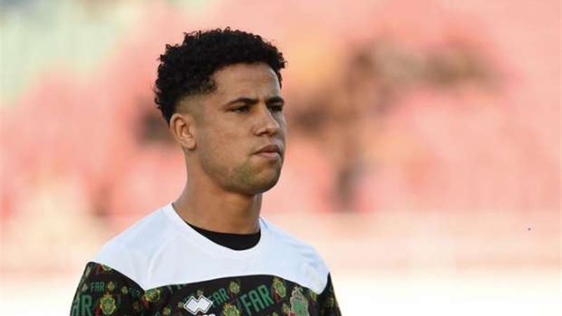 اللاعب رضا سليم
