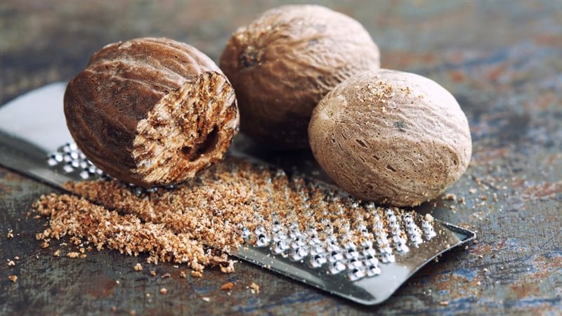 جوزة الطيب هير نيوز