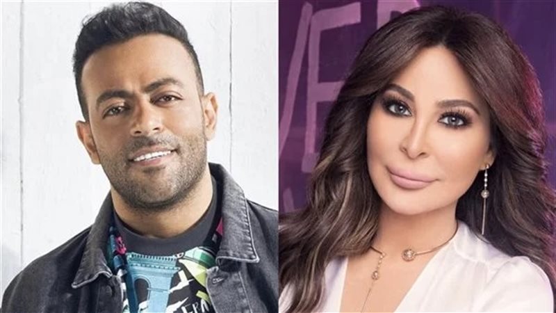حفل اليسا وتامر عاشور