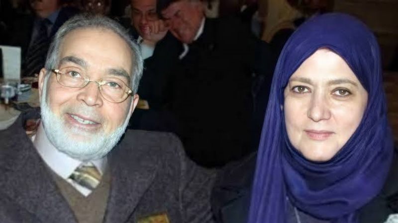 شمس البارودي وحسن