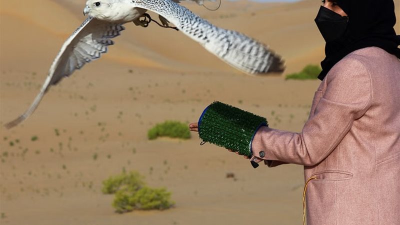 هير نيوز