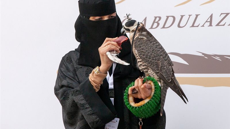 مزاد نادي الصقور