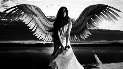 تفسير النابلسي للطيران بأجنحة ريش في المنام بشرى بحج قريب 