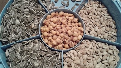 هذه الفئات ممنوعة من تناول اللب «أبرزهم مرضى القولون»