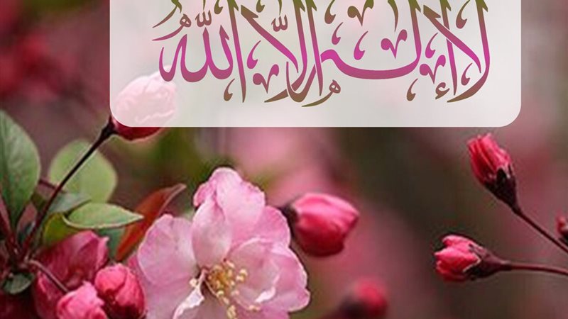 تفسير حلم قول لا