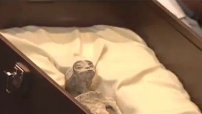 عمرها 1000 عام.. جثث كائنات فضائية بالمكسيك تثير الجدل 