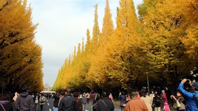 وجهات عربية مثالية لإجازة ممتعة في الخريف منها الرياض