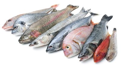 حقيقة أنباء تداول أسماك نافقة في الأسواق