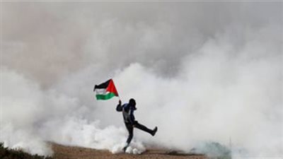 نجوم الفن يقدمون الدعم للشعب الفلسطيني