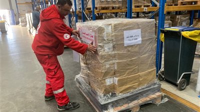 صيادلة القاهرة تفتح باب تلقي تبرعات الأدوية من أجل غزة