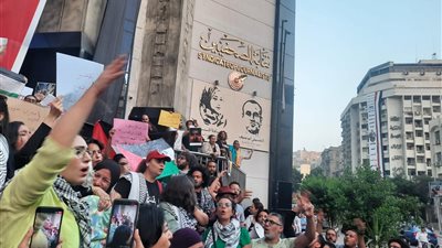 مظاهرة نسائية بمشاركة فلسطينية على سلالم نقابة الصحفيين (صور)