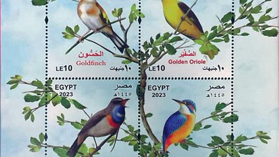 هيئة البريد تصدر بطاقة تذكارية ترصد فيها ظاهرة الطيور المهاجرة