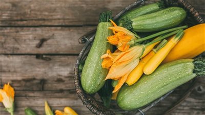 تفسير رؤية الكوسا في المنام للعزباء والحامل 