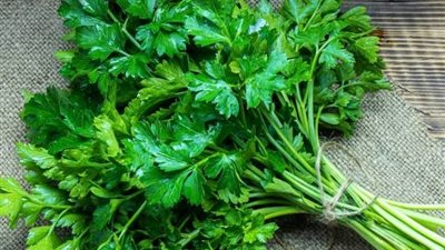 5 فوائد للبقدونس على الصحة «تحسين أداء القلب»
