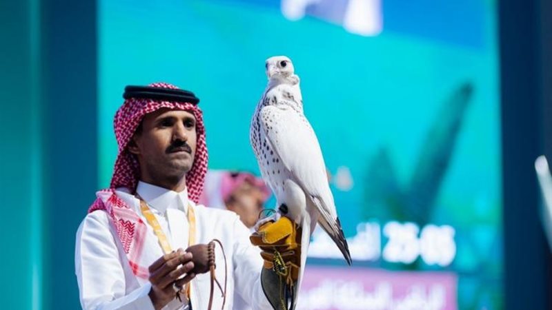 نادي الصقور السعودي