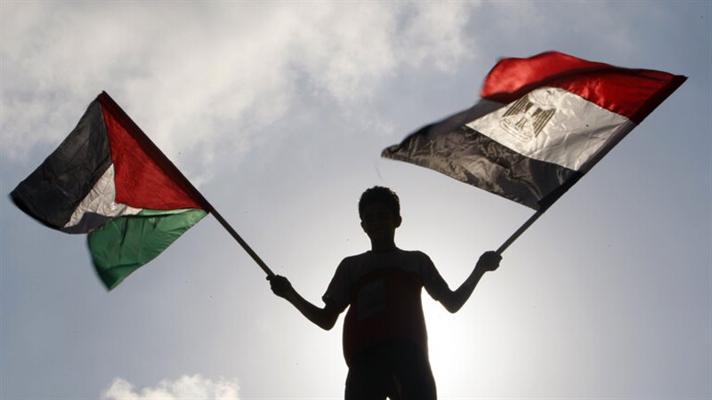 طفل يحمل علم مصر