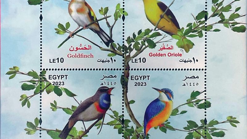 بطاقة تذكارية لظاهرة