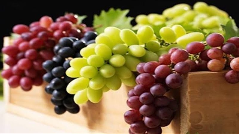 العنب