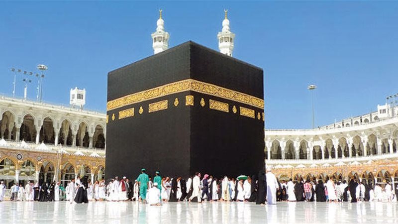 هير نيوز