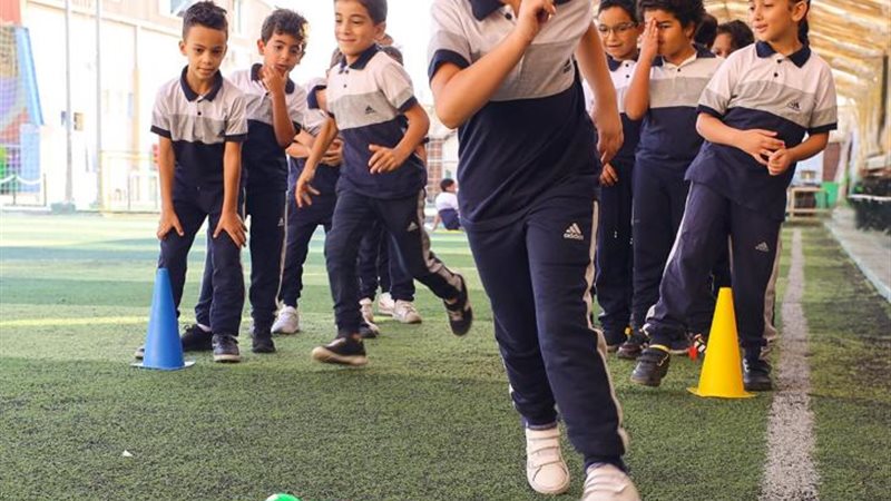 هير نيوز