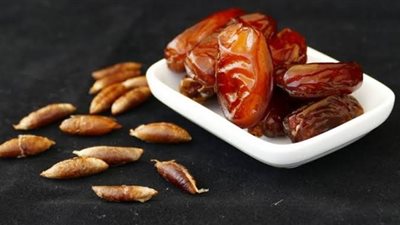 ماذا يحدث عند إضافة نواة التمر إلى شوربة اللحمة؟