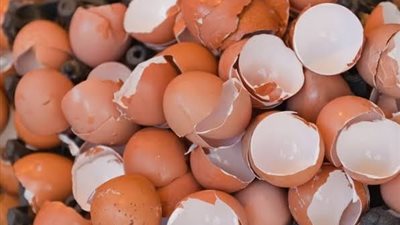 4 فوائد جمالية مذهلة لماسك قشر البيض