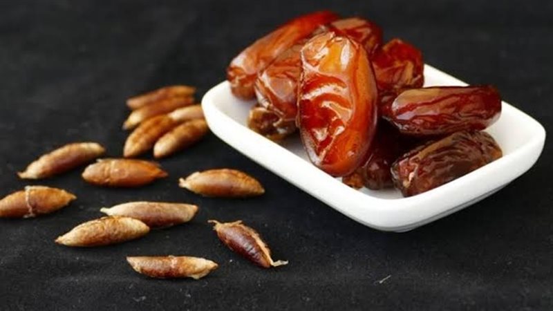 نواة التمر