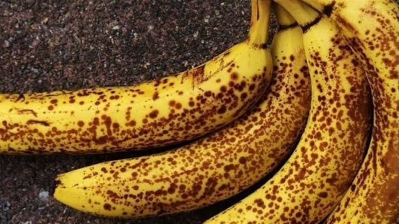موز