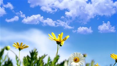 حالة الطقس ودرجات الحرارة اليوم الجمعة 1-12-2023