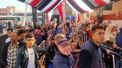 دراسة: نسبة المشاركة في الانتخابات الرئاسية تخطت 65% والشباب على رأس القائمة