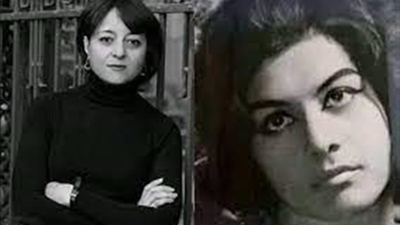 هير نيوز