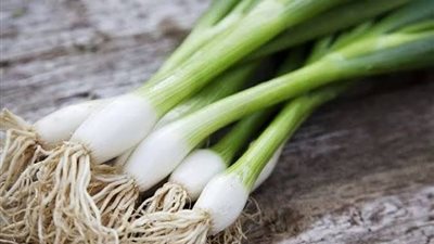 لماذا يجب تناول البصل الأخضر بوجبة الإفطار؟ 4 فوائد سحرية