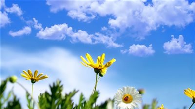 حالة الطقس اليوم الثلاثاء 19-12-2023