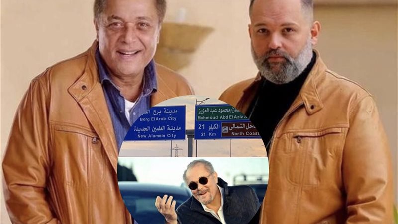 محمود عبد العزيز