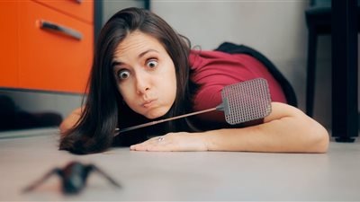 تفسير حلم الحشرات في المنزل بمنام العزباء والمتزوجة