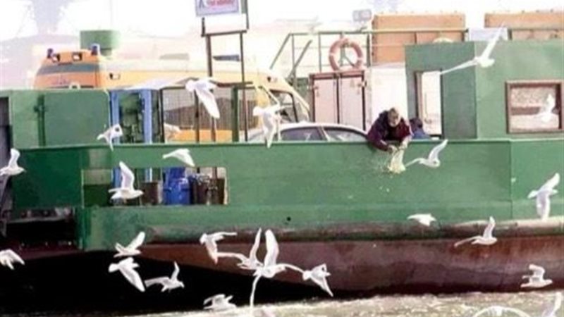 هير نيوز
