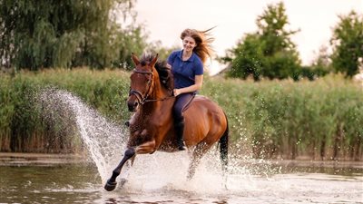 تفسير حلم ركوب الحصان في المنام للعزباء والمتزوجة
