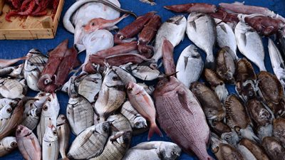 أسعار الأسماك في الأسواق اليوم الجمعة 2-2-2024