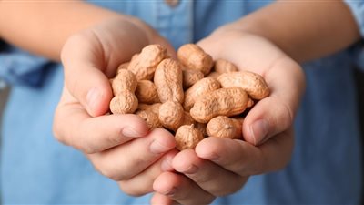 حلمت أنني آكل الفول السوداني في المنام «ما تفسير ذلك؟»