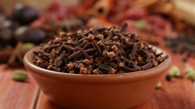 تفسير رؤية القرنفل