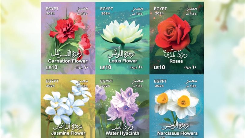 هير نيوز