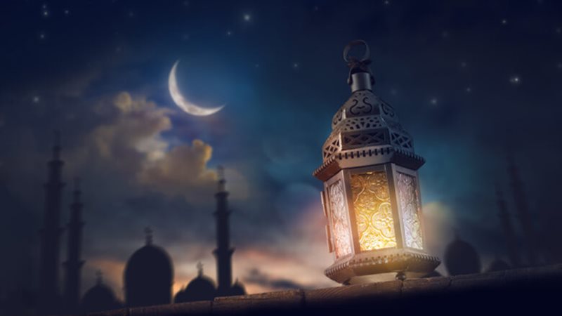 هير نيوز
