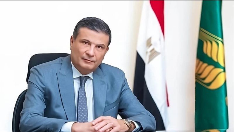 هير نيوز