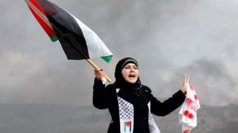 هير نيوز