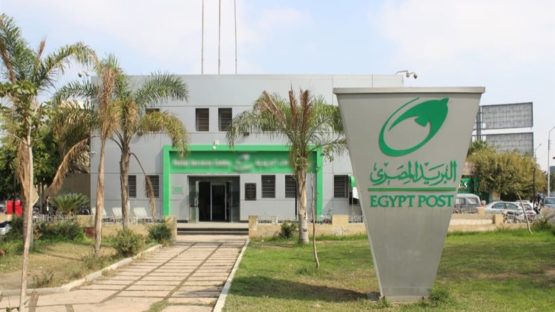 هير نيوز