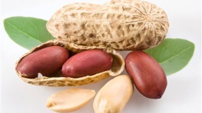 6 أسباب تدفعك لتناول الفول السوداني في رمضان 2024