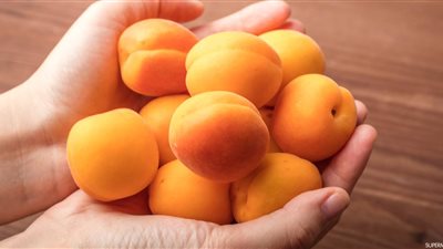 تفسير حلم أكل المشمش في المنام «بشارة بالاستقرار النفسي»