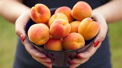 تفسير رؤية المشمش في المنام للعزباء والمتزوجة