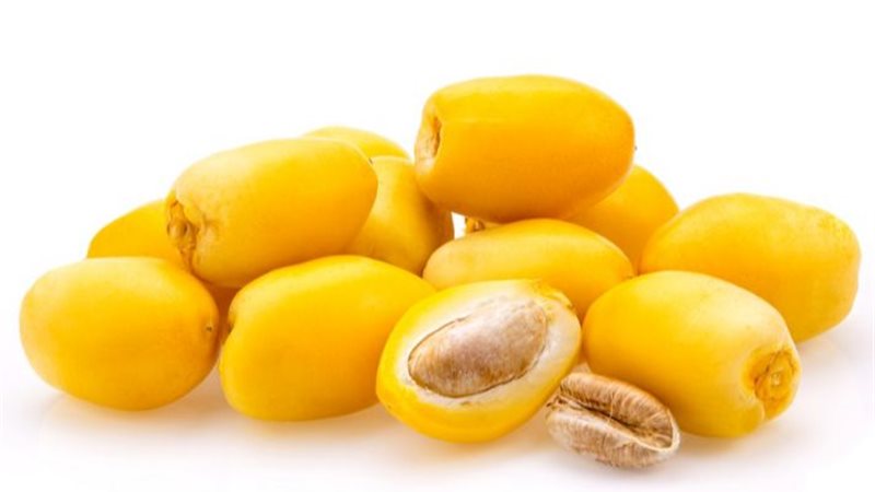 تفسير حلم البلح في